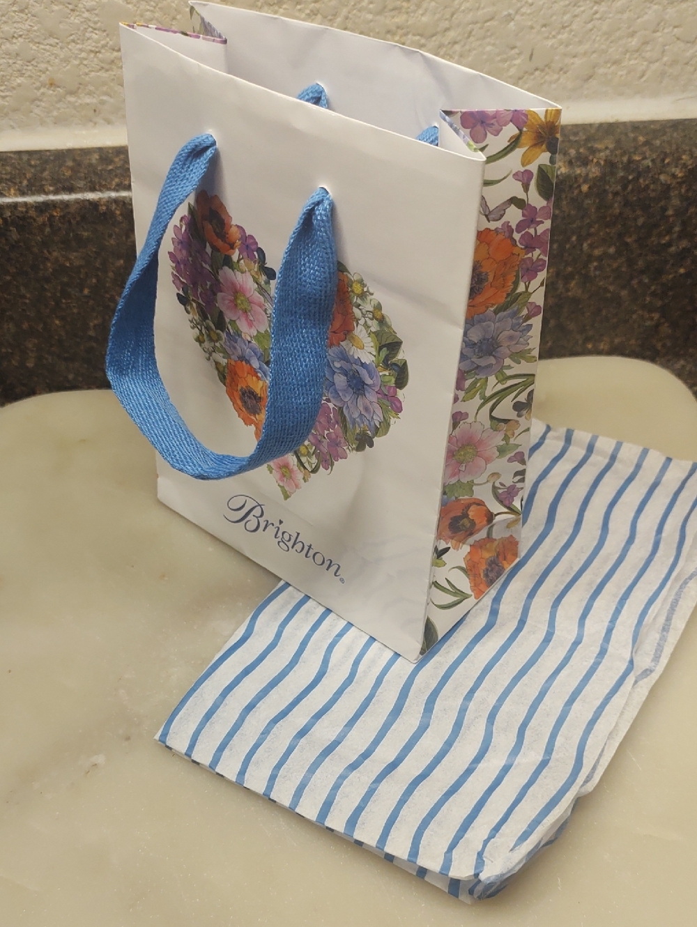 Brighton Small Gift Bag - Picture 1 of 5